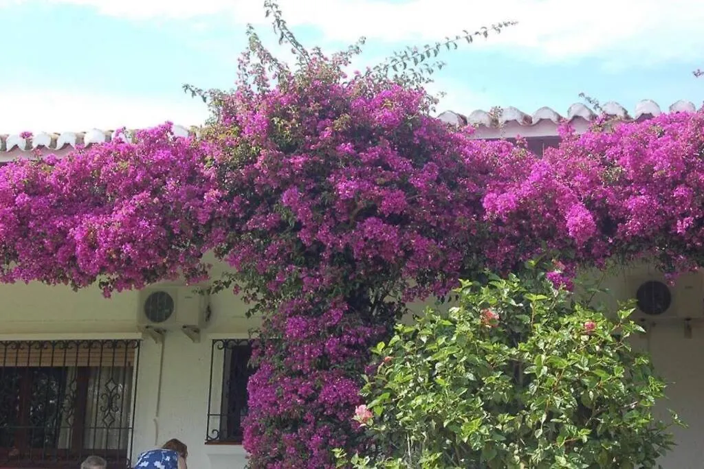 Exclusive Secluded Villa With Private Pool Hot Tub & Bbq -7 Minutes From Marbella